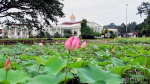 ISTANA NEGARA